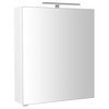 SAPHO RIWA Stenska Galerka z LED Osvetlitvijo, 60x70 cm, Bela Lesk