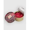 CandleHand Can Candle cranberry