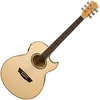 Washburn EA20-A-U Elektro-akustična jumbo
