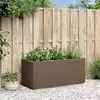 vidaXL Škatla za vrtnice Rjava 80 x 36 x 35 cm Polipropilen