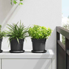 Kružni Pladanj za Cvijeće 24 pcs Crna O 14 x 2 cm Plastika