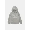 Otroški pulover Levis VARSITY ROWING HOODIE