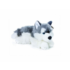 Rappa Plišasti pes husky leži 30 cm