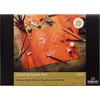 Rembrandt Toned Sanguine A4 180 g