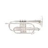 Korneta Roy Benson Bb CR-202S RB701.092