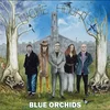 Blue Orchids - Magpie Heights (LP)