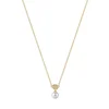 Rosato Elegantna pozlačena ogrlica Azzurra RZAZ005