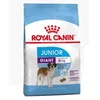 Royal Canin Giant Junior