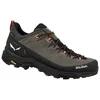 Salewa ALP TRAINER 2 GTX M, planinarske cipele, smeđa 61400