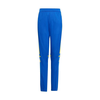 adidas Squadra 25 pisana