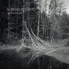 Norman Westberg - The All Most Quiet (LP)