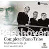 BEETHOVEN:COMPLETE PIANO TRIOS/TRIPLE CONCERTO OP.56/TRIO WANDERER 5CD