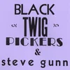 Black Twig Pickers & Steve Gunn - Lonesome Valley (Limited Edition) (7)