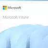 Microsoft Intune Enterprise Application Management - letna naročnina (1 leto)