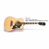 EPIPHONE akustična kitara DOVE NA