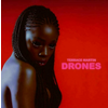 Terrace Martin - Drones (LP)