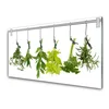 tulup.si Slika na akrilnem steklu Listi narava zelišča 120x60 cm 2 obešalnika