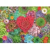 Ravensburger Puzzle Sukulentni raj 500 kosov