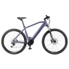 EconicOne Električni bicikl Adventure MTB, 250W, Ljubičasti