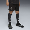 PUMA Borussia MA¶nchengladbach 25/26 Shorts Youth, Clothing, Black/Warm White, 15-16Y