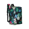 Peterson DHPTNPLEC0553583 pisana