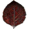 Servirni krožnik v obliki lista Costa Nova Riviera Hydrangea Leaf 21,8 x 19,1 cm, Vigne Red
