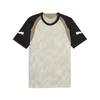 PUMA individualFINAL Slim Jersey Men, Sport, Desert Dust/White, L