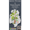 Cretacolor Artist Studio Pastell Set - Naravne študije