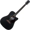 Pasadena PDC-200 Black Akustična kitara (Kot novo)