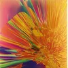 JMSN - It Is. (2 LP)