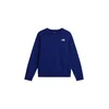 THE NORTH FACE Majica EVOLUTION temno modra/črna/bela