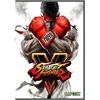 Street Fighter V (PC)