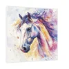 Canvas Slika na platnu Konj akvarel 120x120cm, Sa ramom, Beli