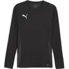 Dres z dolgimi rokavi Puma teamGOAL Jersey LS M