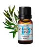 Etersko ulje Čajevo drvo, 10 ml