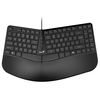 GENIUS Ergo KB-700 USB US crna tastatura
