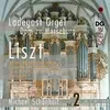 LISZT: ORGAN WORKS VOL.2
