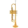 Trobenta Malte Burba Premium Goldbrass Kühnl & Hoyer