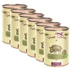 Terra Canis Wild Boar with natural rice, fennel & raspberry 6 x 400 g