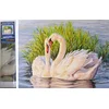 Norimpex Diamantna slika Labodi v trstičju 30x40cm
