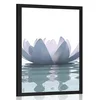 Plakat lotosov cvet - 60x90 no frame