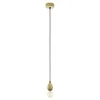Eglo 49376 - Viseća lampa AVOLTRI 1xE27/60W/230V