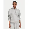 The North Face Jopa Evolution Simple Dome NF0A8CWN Siva Regular Fit