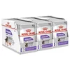 Royal Canin Sterilised Dog Loaf vrečka s pašteto za kastrirane pse 36 x 85 g