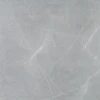 Elegant Grigio 60x60