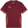 Dres Puma teamGOAL Matchday Jersey jr