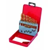 Raider Set burgija HSS + TIN, 13 komada