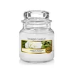 Yankee Candle Aromatična sveča Classic majhna cveta kamelije 104 g