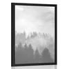 Plakat megla nad gozdom v črnobeli varianti - 40x60 no frame