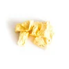 shumee Hrustljavi AnaNas - celi liofilizirani sadeži 25 g
